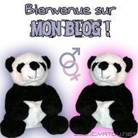vous etes les bienvenu sur mon blog